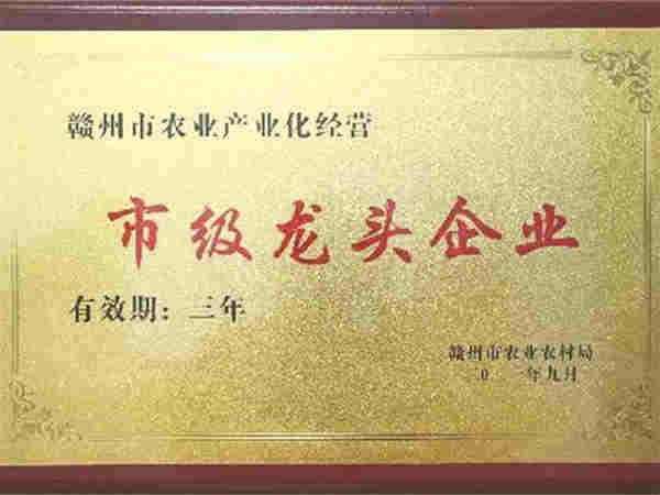 榮譽資質(zhì)